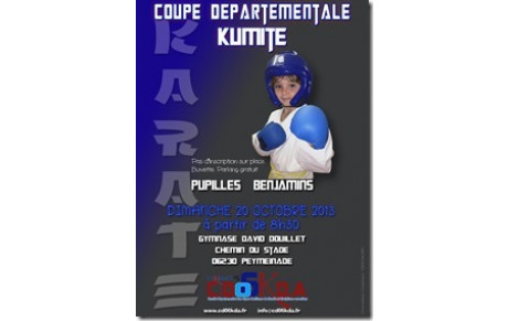 KARATE : coupe departementale PUPILLES BENJAMINS