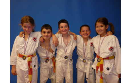 JUDO: TOURNOI DES PETITS AS 2013