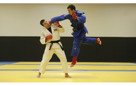 STAGE DE JUJITSU FIGHTING SYSTEM 