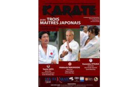 KARATE : STAGE EXPERTS JAPONNAIS