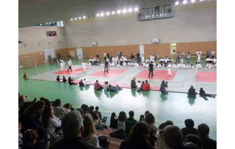 JUDO: TOURNOI DES PETITS AS 2014