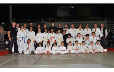 DÉMONSTRATION TELETHON 2014 JUDO KRAV MAGA JUJITSU KARATÉ 