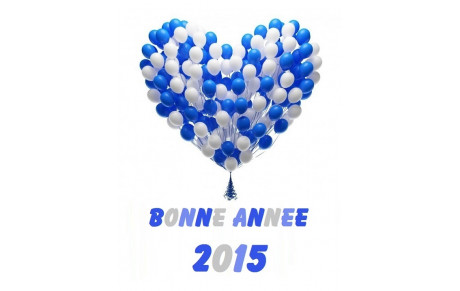 BONNE ANNEE 2015