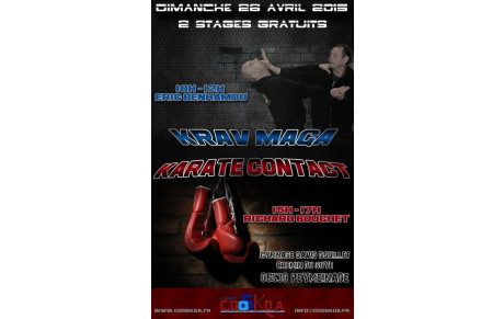 KRAV MAGA / KARATE CONTACT