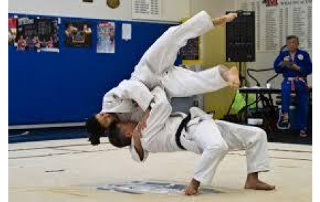 Stage Kata JUDO/JU JITSU