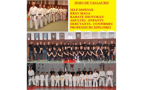 KRAV MAGA / KARATE : Entrainement vacances