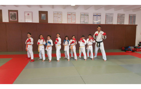 STAGE KARATE AVEC MOEZ SAIDI