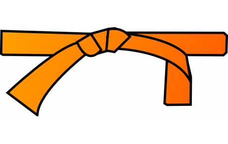 SELF DEFENSE KRAV MAGA STAGE ORANGE 