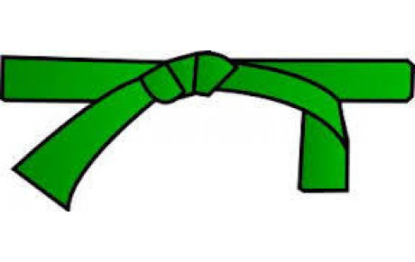 SPORTS DE COMBAT SELF-DEFENSE  DEFENSE / KRAV MAGA STAGE CEINTURE VERTE