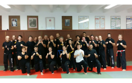 SPORTS DE COMBAT SELF-DEFENSE  DEFENSE KRAV MAGA STAGE CEINTURE VERTE