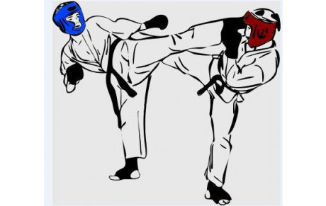 SPORTS DE COMBAT SELF-DEFENSE  DEFENSE / KRAV MAGA