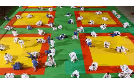 JUDO JU JITSU SELF DEFENSE  ENTRAINEMENT EN COMMUN