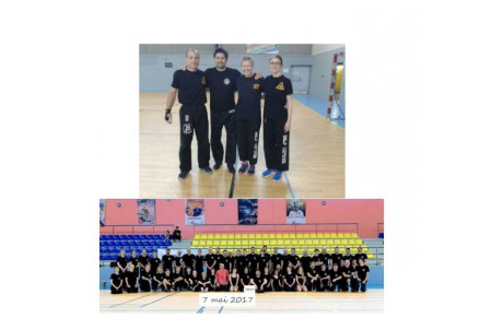 SPORTS DE COMBAT SELF  DEFENSE / KRAV MAGA