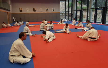 JUDO JU JITSU SELF DEFENSE  ENTRAINEMENT ESTIVAL