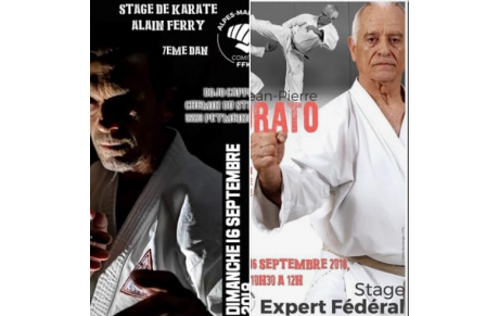 Participation au Stage Karaté Expert Fédéral  