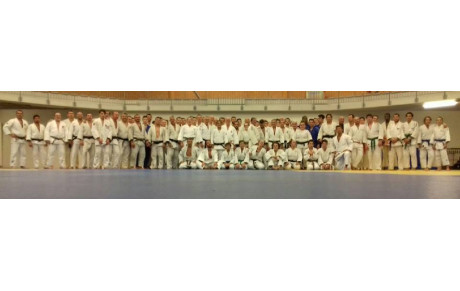 JUDO JUJITSU SELF DEFENSE ENTRAINEMENT DE MASSE A ST LAURENT DU VAR