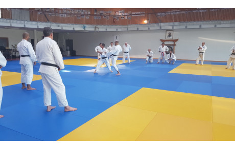 JUDO JU JITSU SELF DEFENSE  STAGE KATA