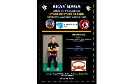 STAGE CEINTURE ORANGE KRAV MAGA