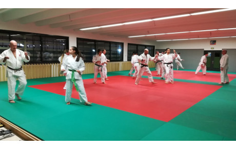 JUDO JUJITSU: Galette des rois