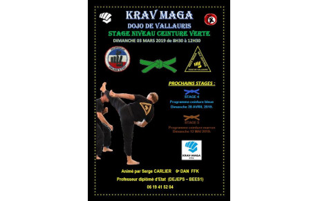 KRAV MAGA : Les stages 