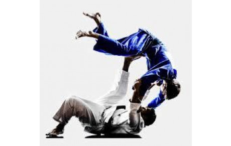  JUDO JU JITSU SELF DEFENSE  STAGE KATA