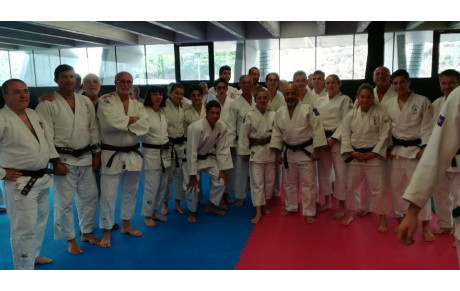 JUDO JU JITSU SELF DEFENSE  