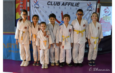 Judo: Coupe Di Constanzo.