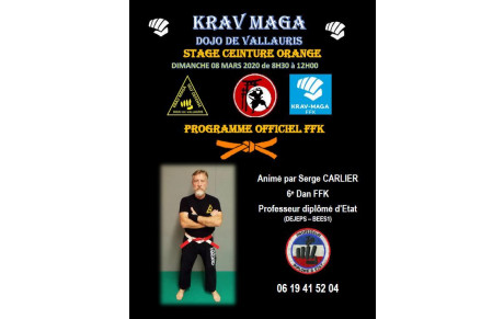 SELF DÉFENSE / KRAV MAGA - STAGE CEINTURE ORANGE 
