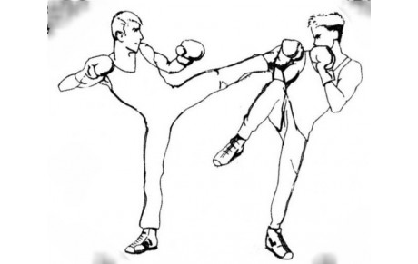 Krav Maga : 7ème et dernier entraînement d'été,  thème SAVATE / BOXE FRANÇAISE 