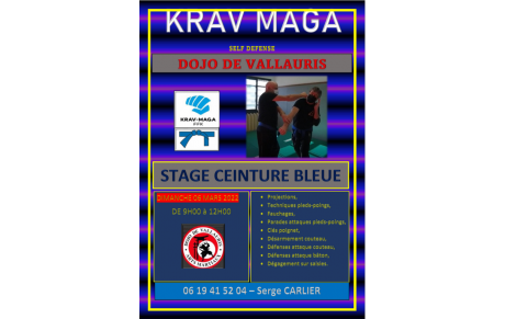 STAGE CEINTURE BLEUE KRAV MAGA