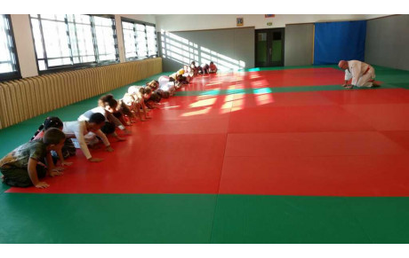 JUDO A L'ECOLE